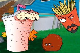 Aqua Teen Hunger Force Season 10 Streaming: Watch & Stream Online via HBO Max