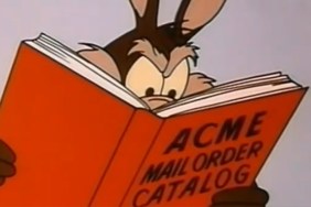 Coyote vs Acme image